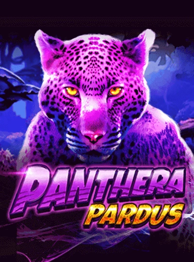 ace4 new game